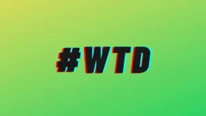 wtd meaning