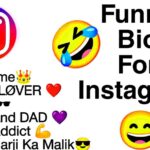 funny instagram bios